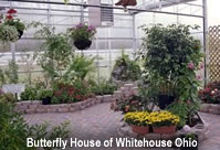 Visit a Butterfly House - listed here by state